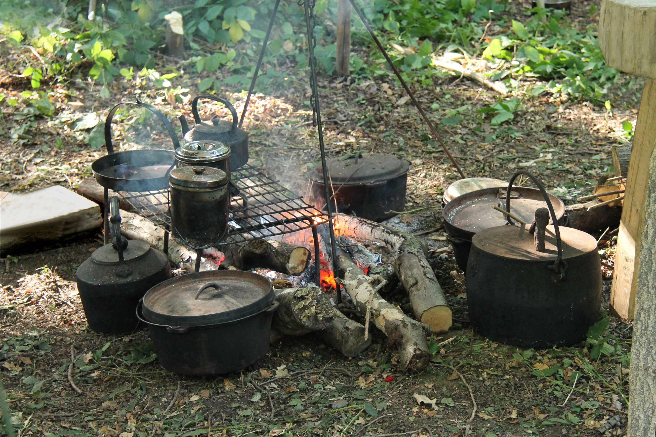 Campfire Cooking: Enhancing Outdoor Culinary Adventures - Surviving Off ...