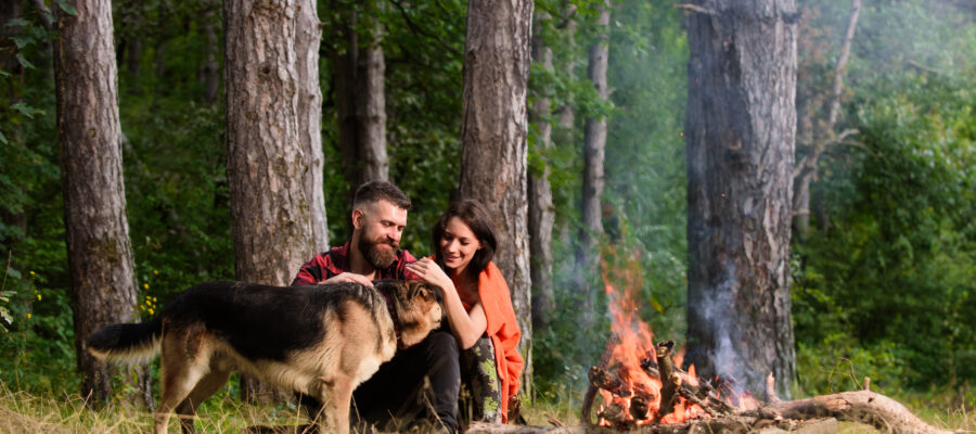 camping with pets