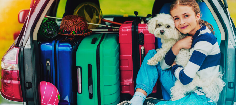 family camping gear