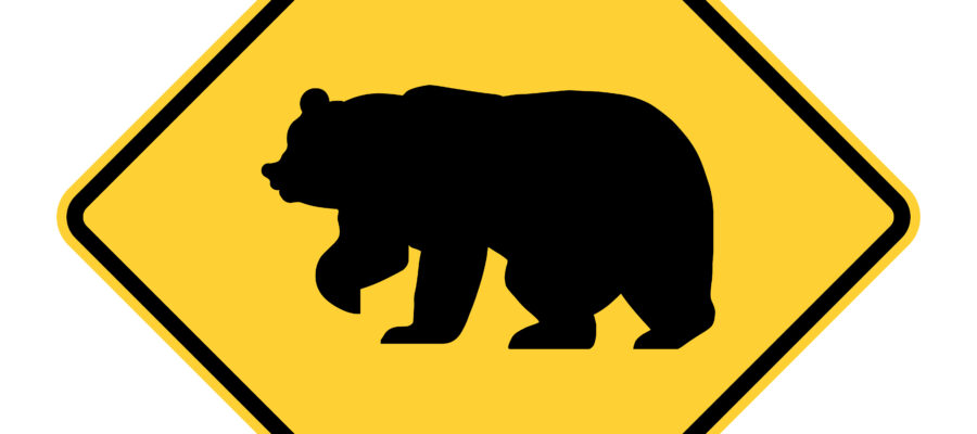 bear safety