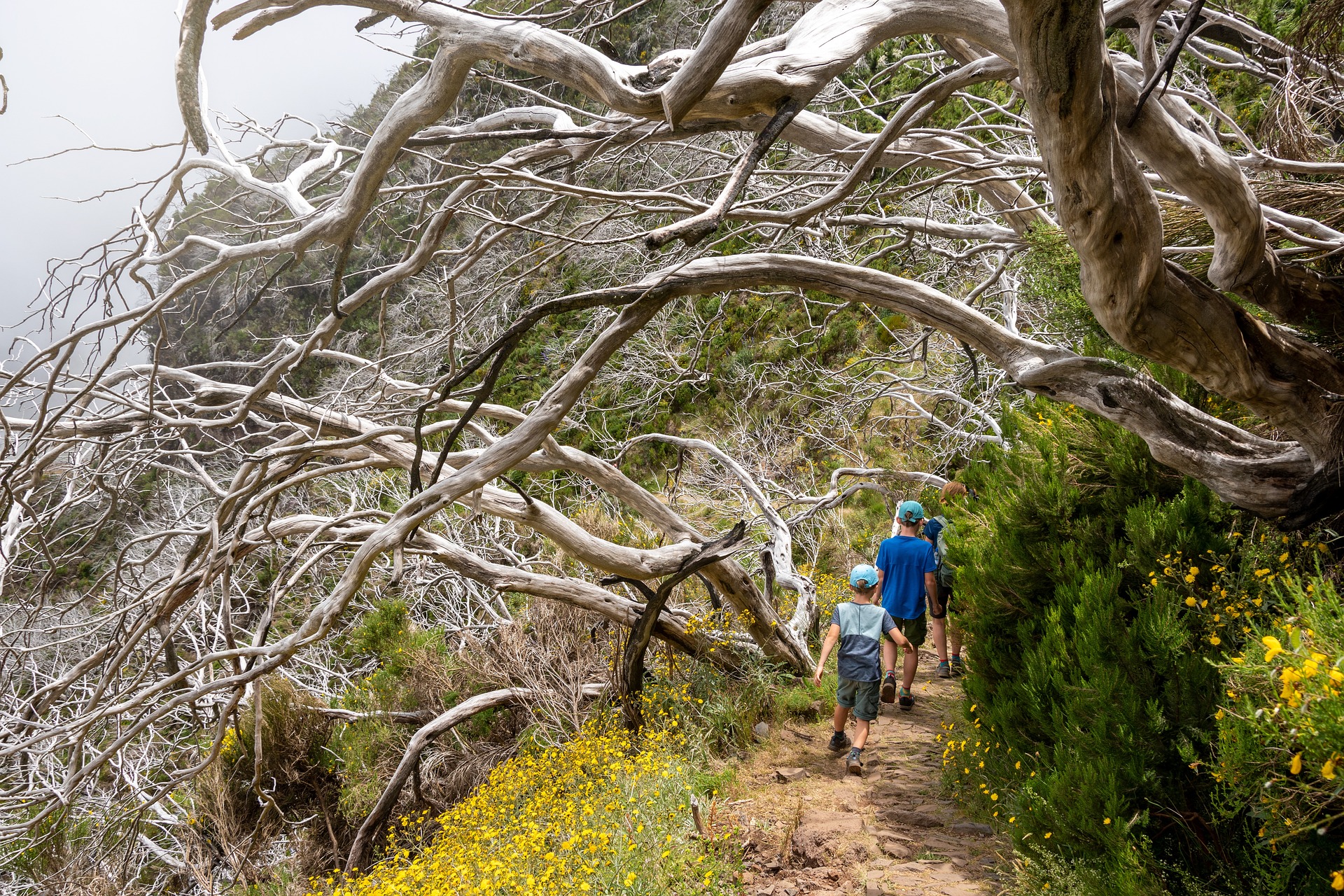 trekking with kids