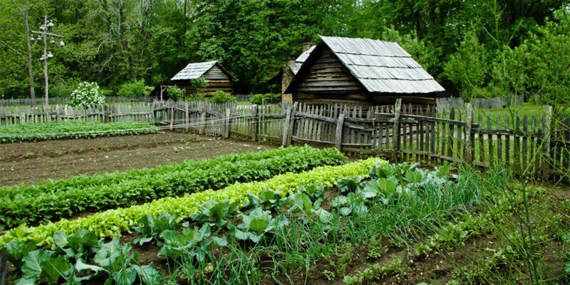 off grid garden