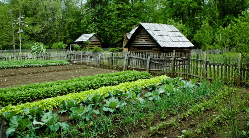 off grid garden